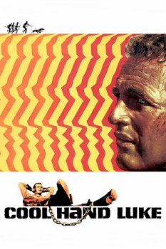 poster Nick mano fredda - Cool Hand Luke  (1967)