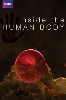 poster Inside the Human Body  (2011)