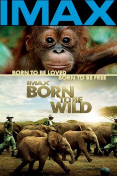 poster Born to Be Wild [3D] 3D  (2011)