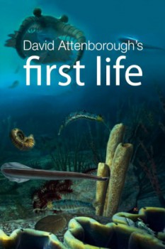 poster First Life - Serie Completa