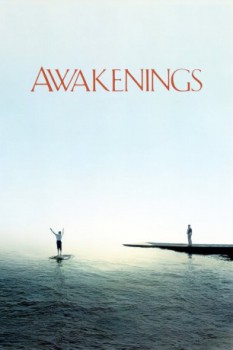 poster Awakenings