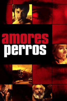 poster Amores Perros