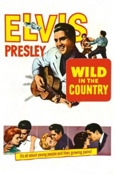 poster Elvis: Wild in the Country  (1961)