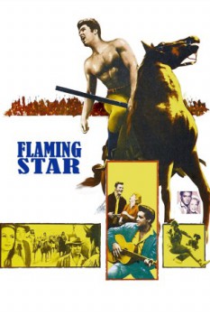 poster Elvis: Flaming Star  (1960)
