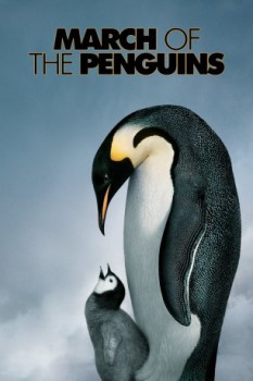 poster Marcia dei Pinguini, La - March of the Penguins  (2005)