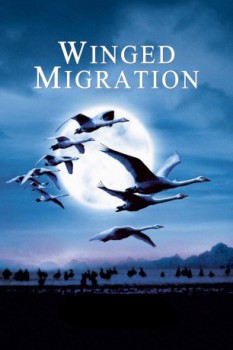 poster Il Popolo Migratore - Winged Migration  (2001)